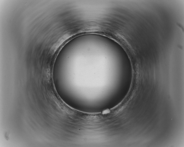 X0000102831457200808251123