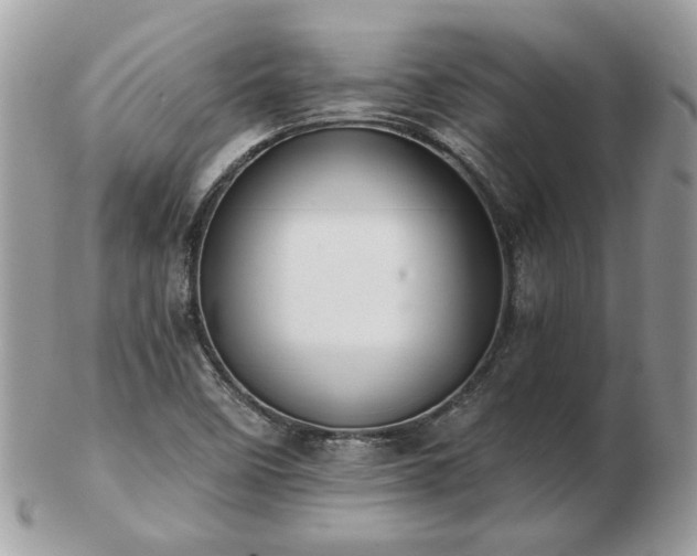 X0000102831458200808251123