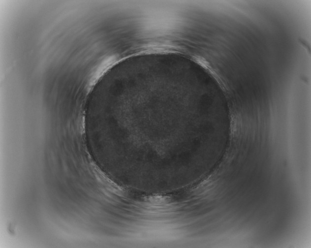 X0000102831459200808251123