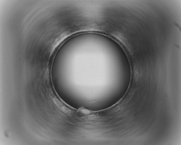 X0000102831460200808251123