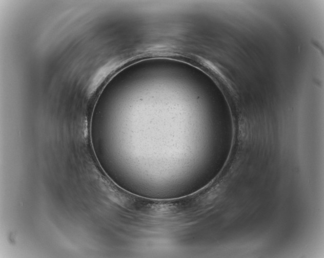 X0000102831461200808251123