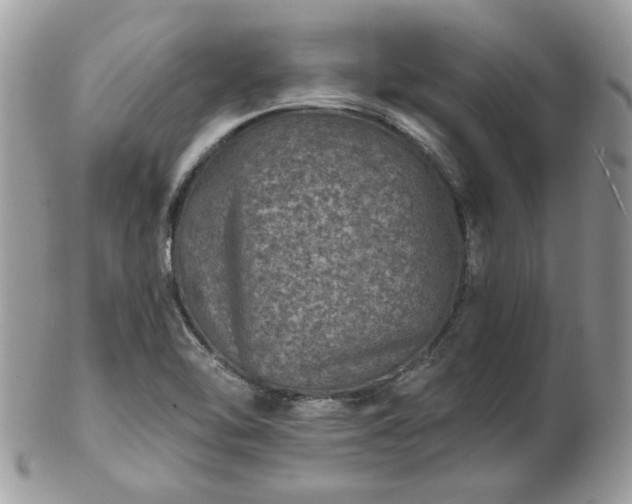 X0000102831462200808251123