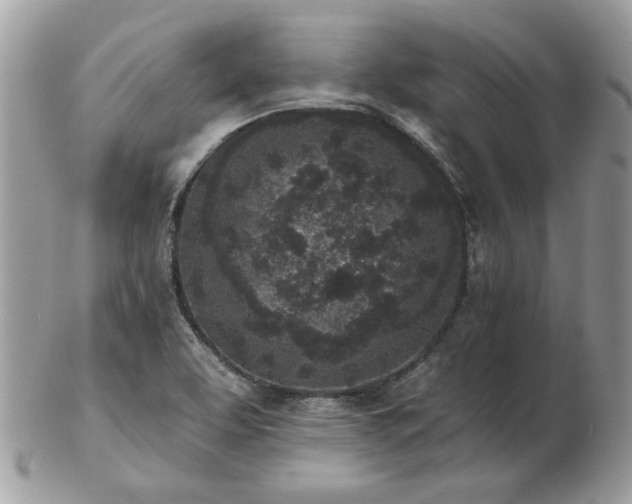 X0000102831463200808251123