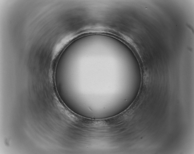 X0000102831464200808251123