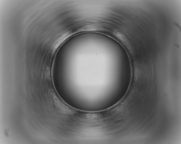 X0000102831465200808251123