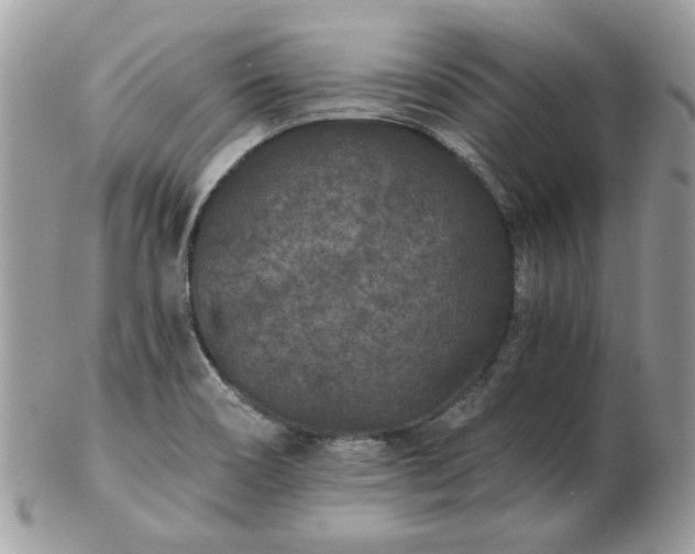 X0000102831466200808251123