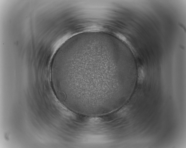 X0000102831467200808251123