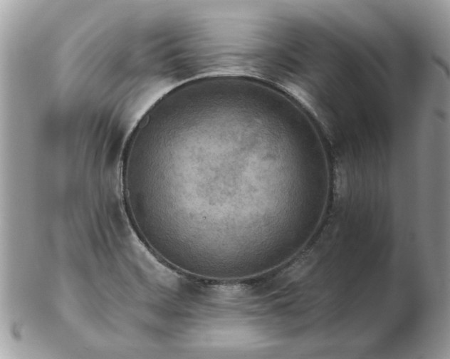 X0000102831468200808251123