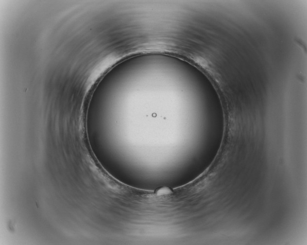 X0000102831469200808251123