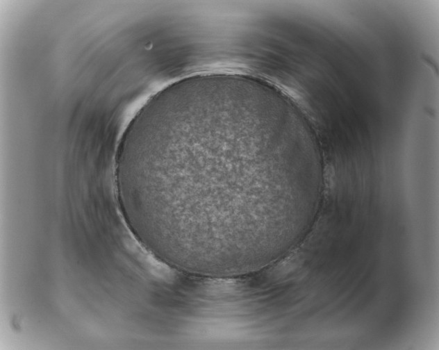 X0000102831470200808251123