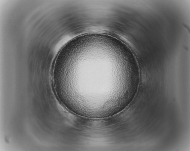 X0000102831471200808251122