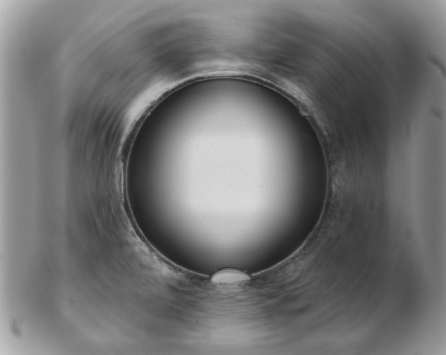 X0000102831472200808251122