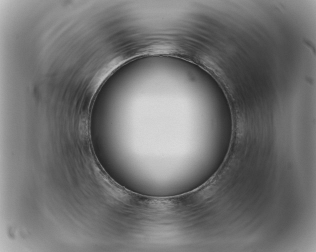 X0000102831473200808251122