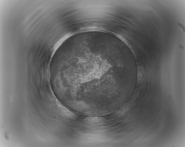 X0000102831474200808251122