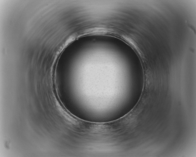 X0000102831475200808251122