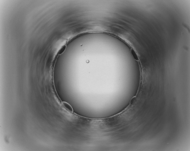 X0000102831477200808251122