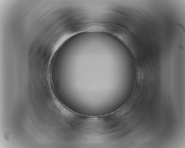 X0000102831478200808251122