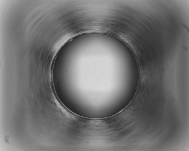 X0000102831479200808251122