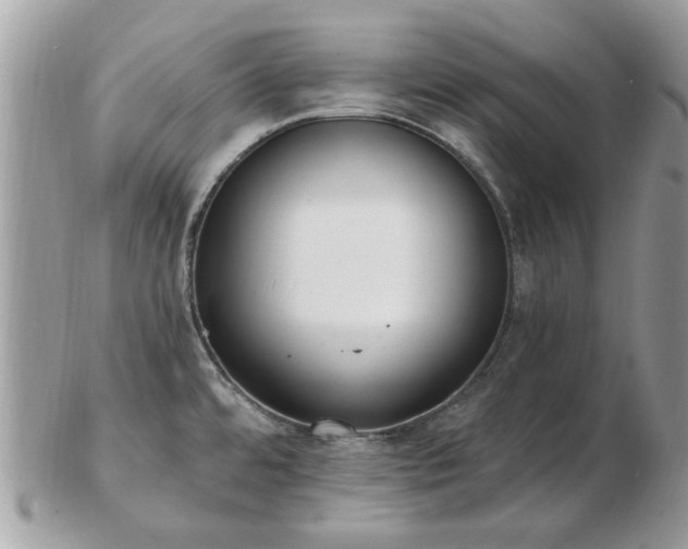 X0000102831480200808251122