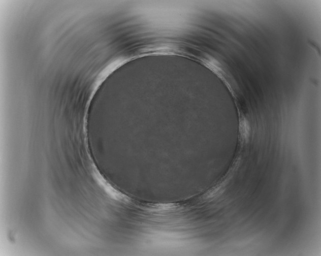 X0000102831482200808251122