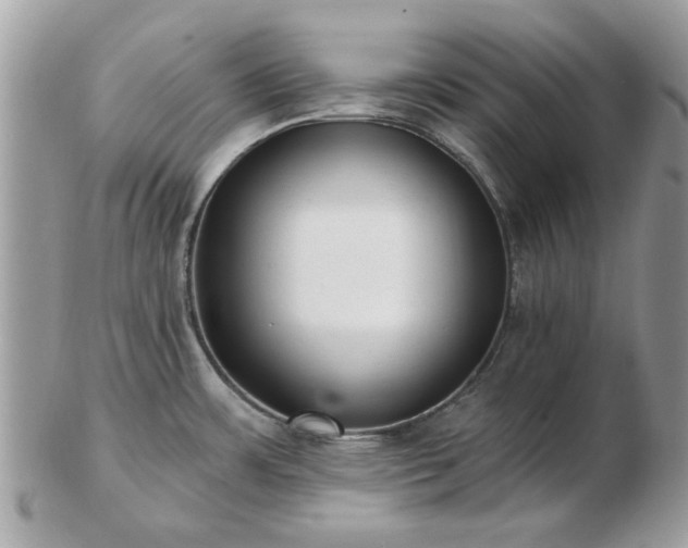 X0000102831483200808251122