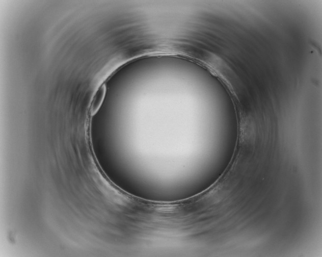 X0000102831484200808251122