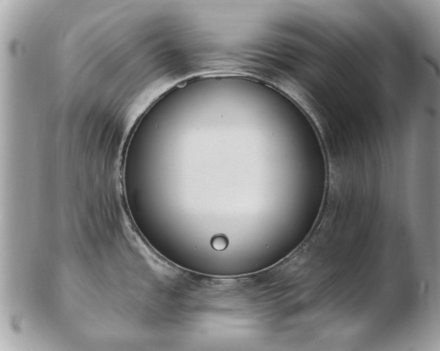 X0000102831485200808251122