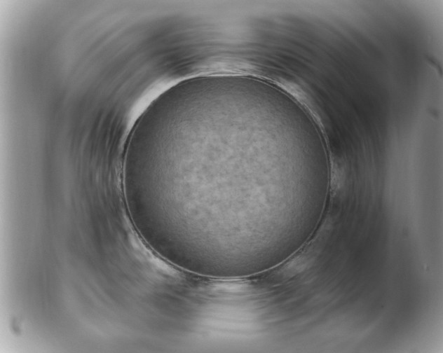 X0000102831486200808251122