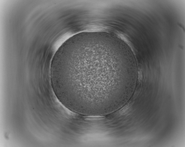 X0000102831487200808251122