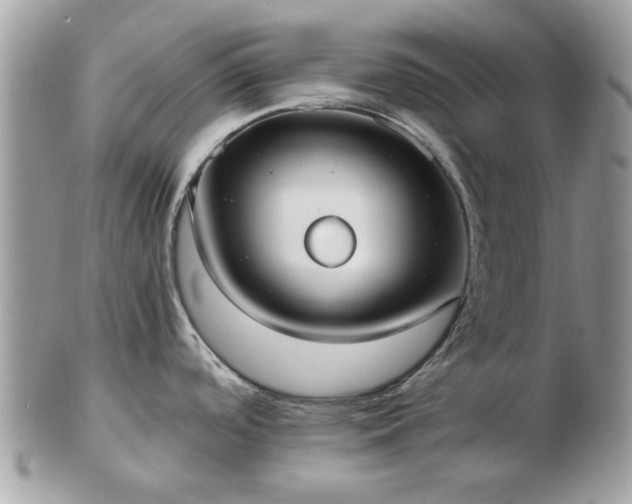 X0000102831488200808251122