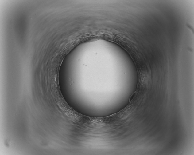 X0000102831489200808251121