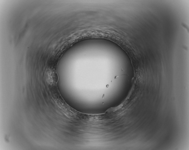 X0000102831490200808251121