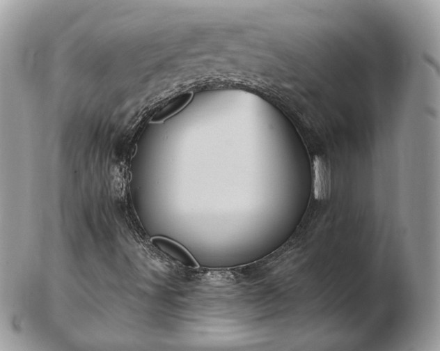 X0000102831491200808251121