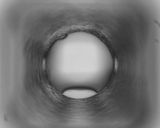 X0000102831492200808251121