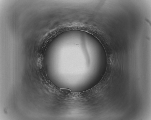 X0000102831493200808251121