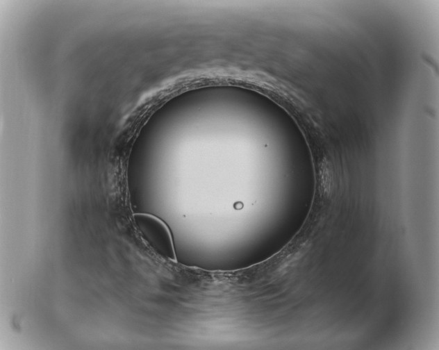 X0000102831494200808251121