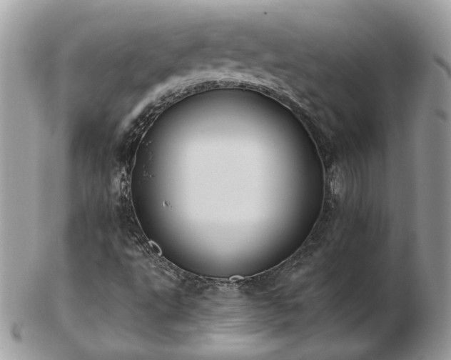 X0000102831495200808251122