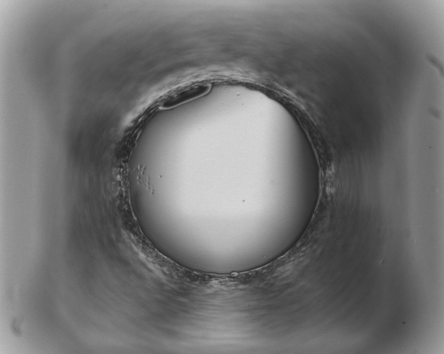 X0000102831496200808251122