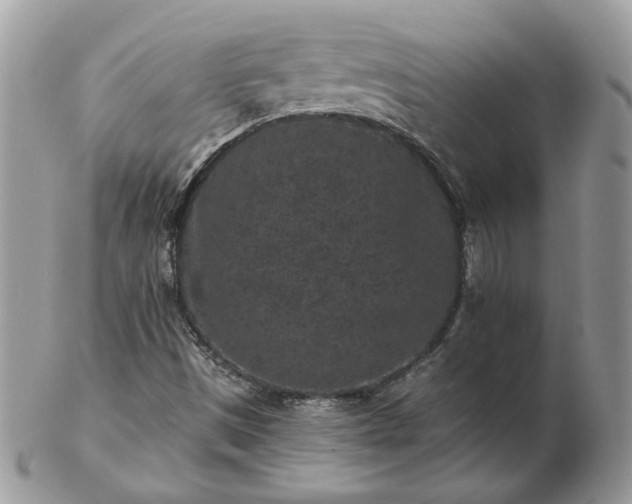 X0000102831497200808251122