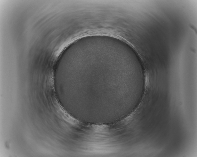 X0000102831498200808251122