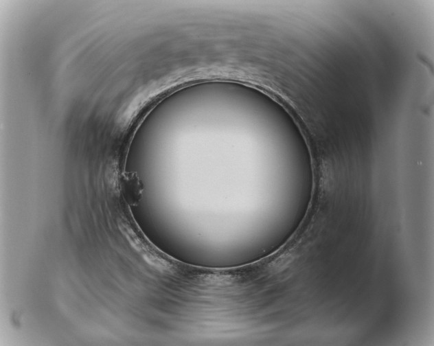 X0000102831499200808251122