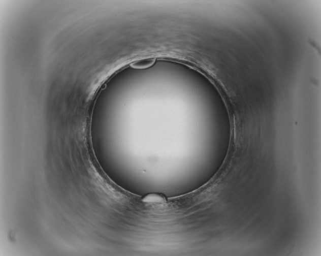 X0000102831500200808251122