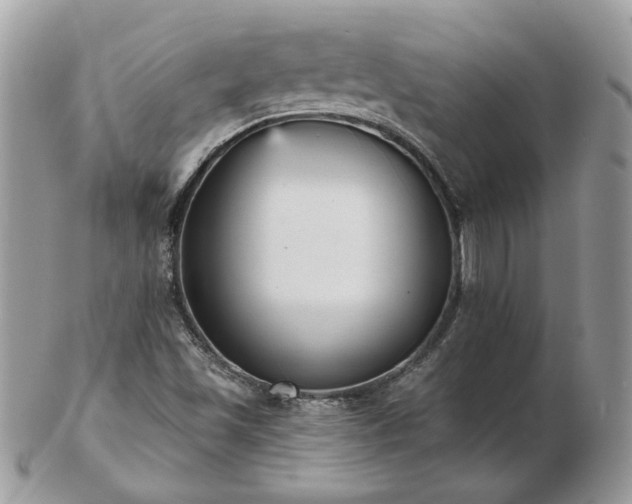 X0000102831501200808251122