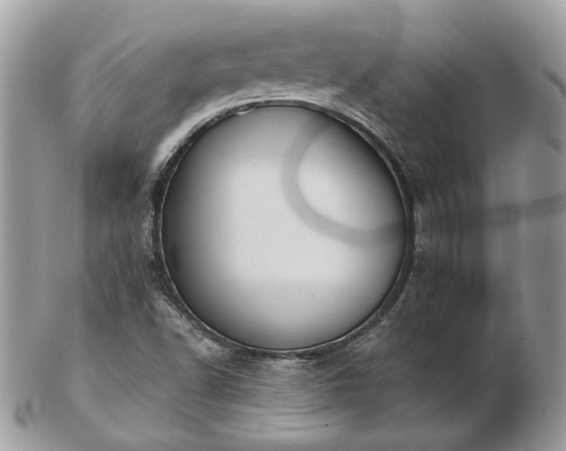 X0000102831502200808251122