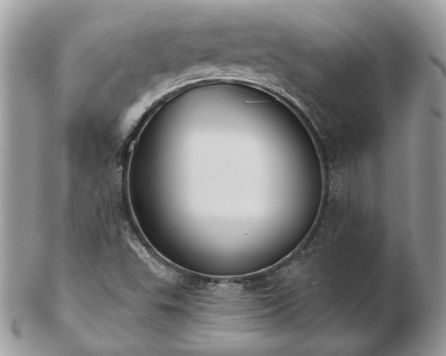 X0000102831503200808251122