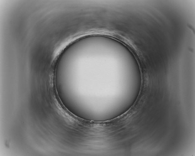 X0000102831504200808251122