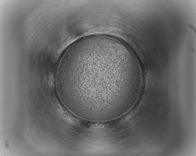 X0000102831505200808251122