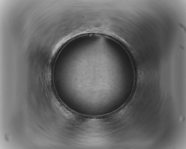 X0000102831506200808251122