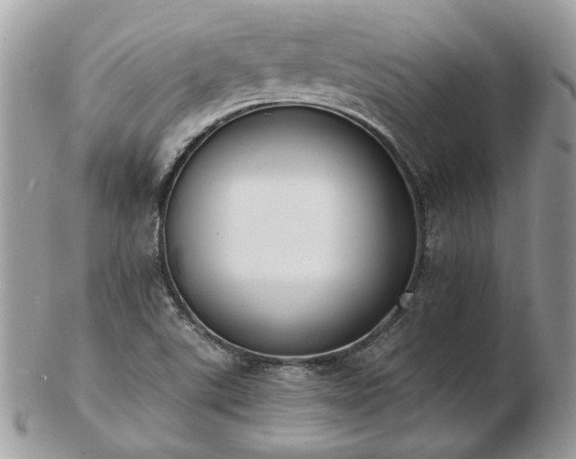 X0000102831507200808251122