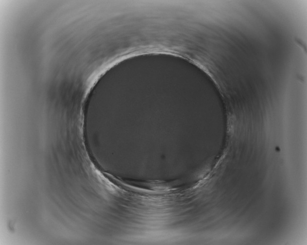 X0000102831508200808251122